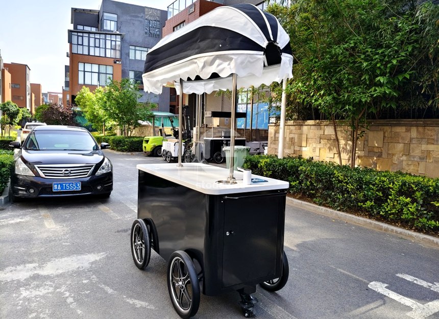 Custom Cold Plate Ice Cream Cart for Mobile Dessert Business